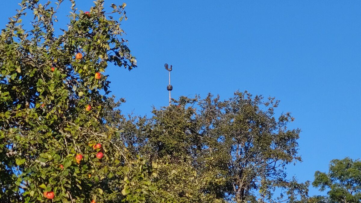 Urvaste kiriku tornikukk