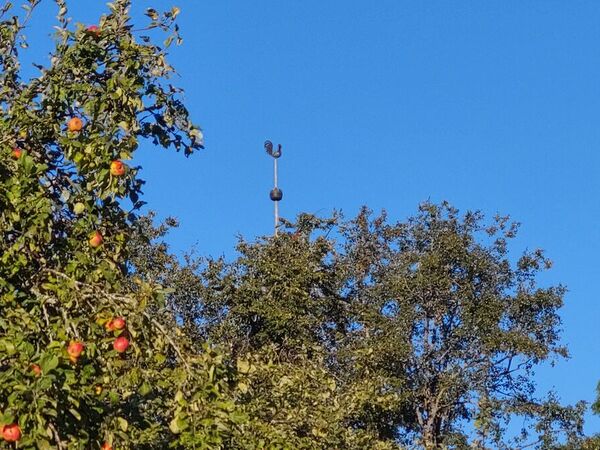 Urvaste kiriku tornikukk